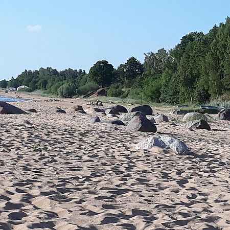 Hotel Viesu Nams Juras Bura Tūja Zewnętrze zdjęcie